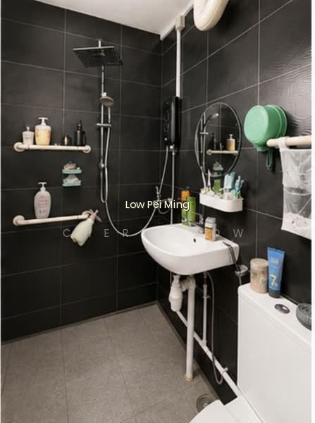 334 WOODLANDS STREET 32 photo 3