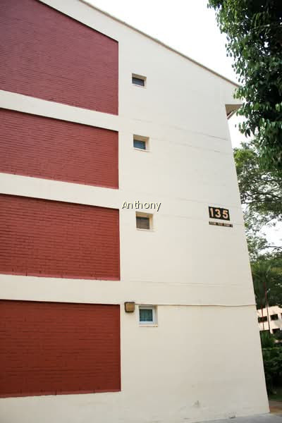 135 POTONG PASIR AVENUE 3 photo 5
