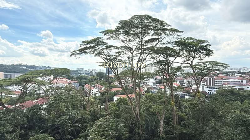 THE SKYWOODS photo 2