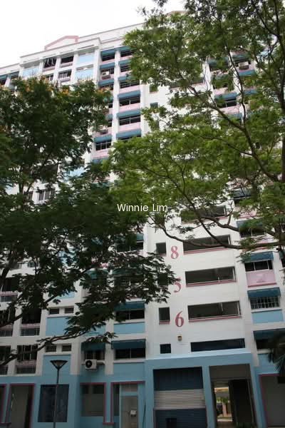 856 JURONG WEST STREET 81 photo 4