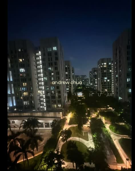 102A BIDADARI PARK DRIVE photo 6