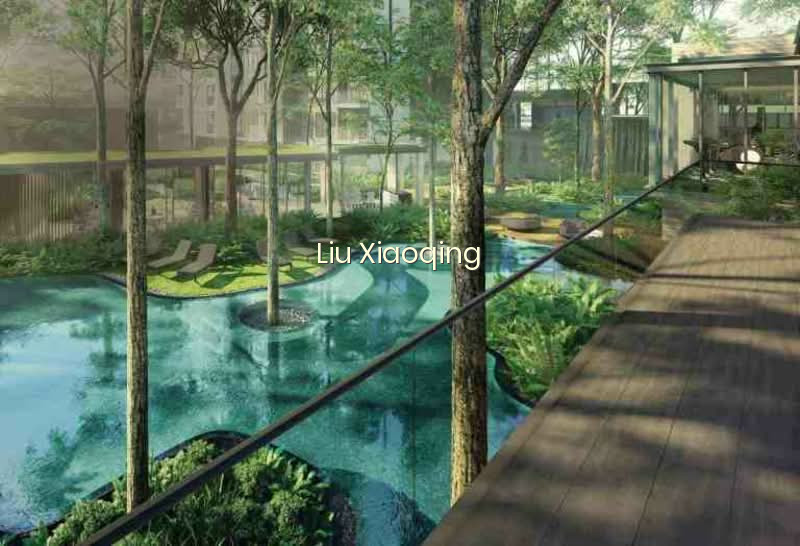 THE CLEMENT CANOPY photo 4