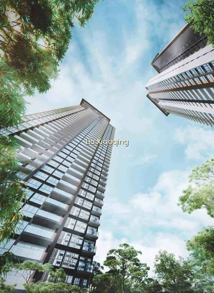THE CLEMENT CANOPY photo 6