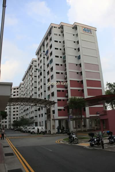 481 JURONG WEST STREET 41 photo 3