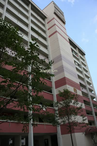 481 JURONG WEST STREET 41 photo 5