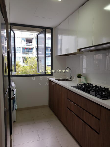 PALM ISLES photo 2