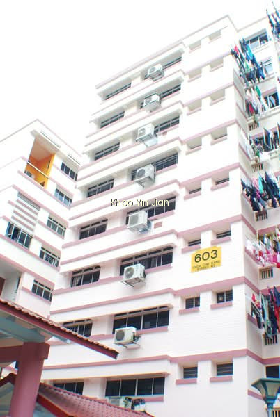603 CHOA CHU KANG STREET 62 photo 5