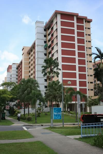 523 ANG MO KIO AVENUE 5 photo 5