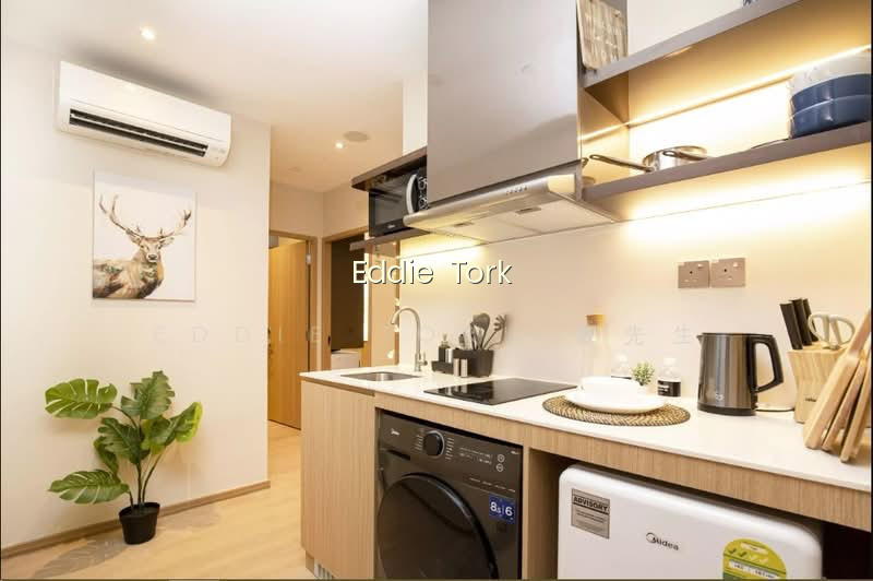 COLIWOO ORCHARD | MINS WALK TO MRT, MOUNT ELIZABETH & SHOPPING photo 4