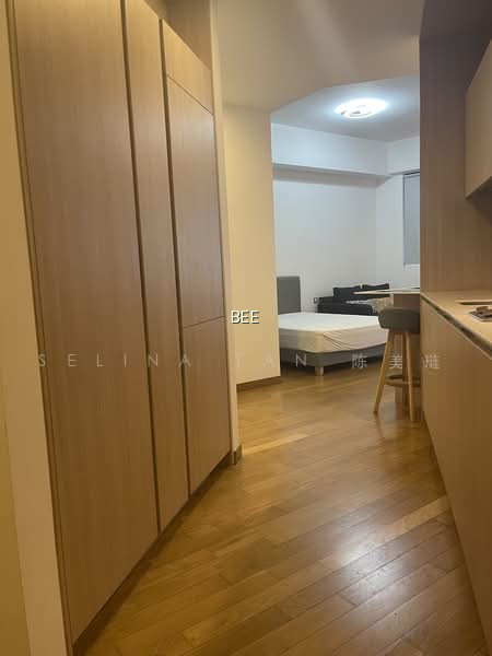 DUO RESIDENCES photo 3
