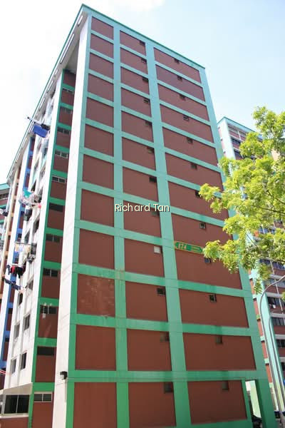 174 YISHUN AVENUE 7 photo 6