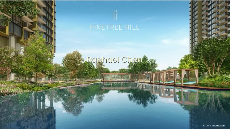 PINETREE HILL photo 4