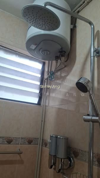 309 SHUNFU ROAD photo 4