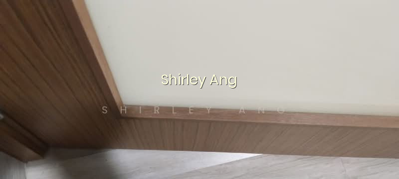 309 SHUNFU ROAD photo 5