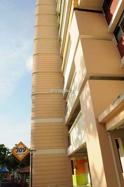 309 SHUNFU ROAD photo 6