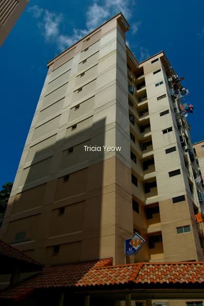 254 BUKIT BATOK EAST AVENUE 4 photo 4