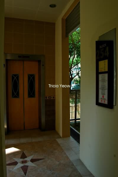 254 BUKIT BATOK EAST AVENUE 4 photo 5