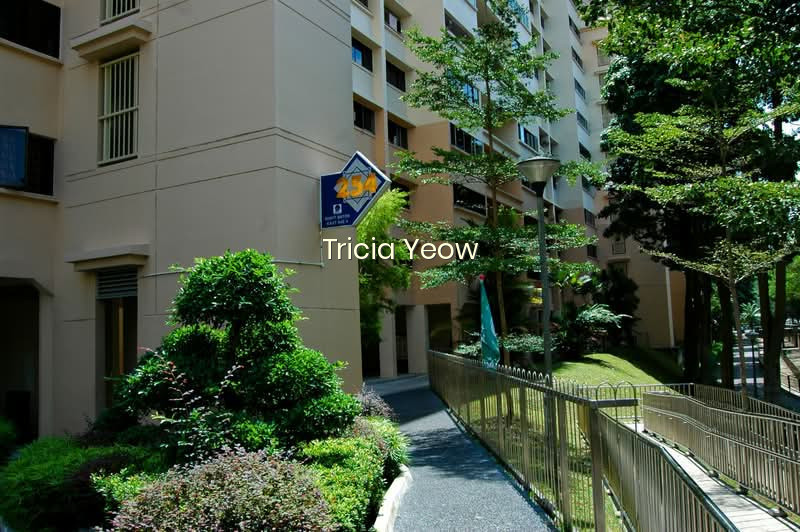254 BUKIT BATOK EAST AVENUE 4 photo 6