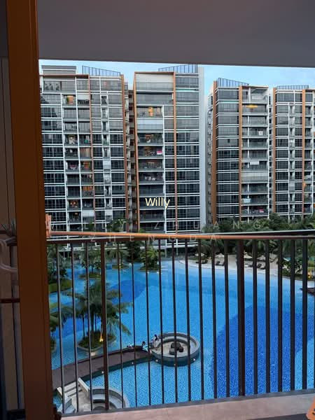 COCO PALMS 6
