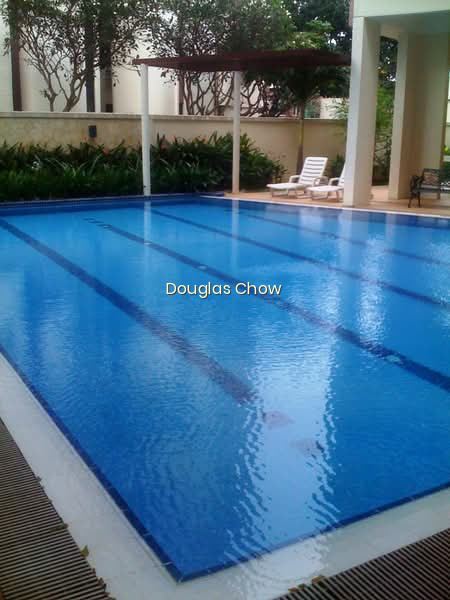 COASTARINA photo 5