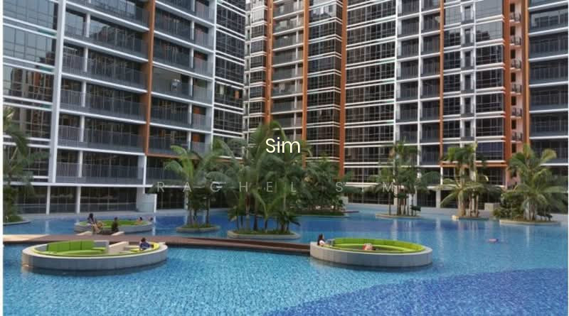 COCO PALMS 7