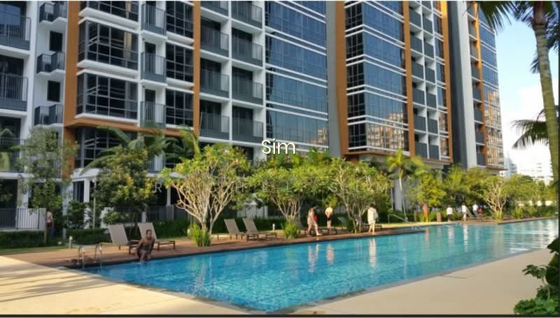 COCO PALMS 8