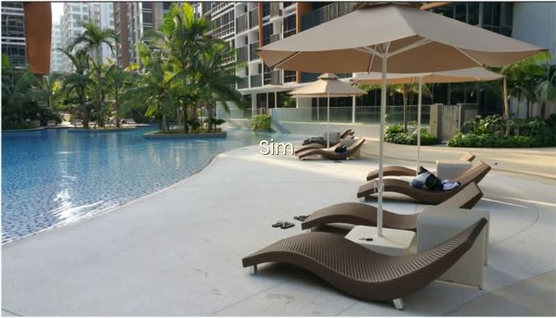 COCO PALMS 9