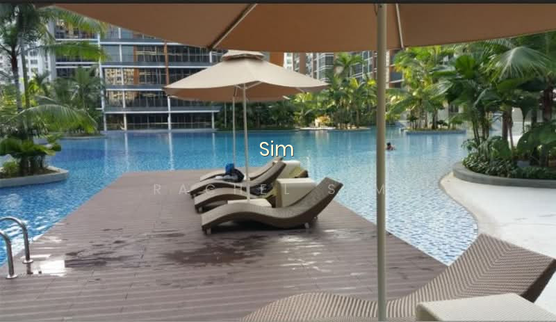 COCO PALMS 10