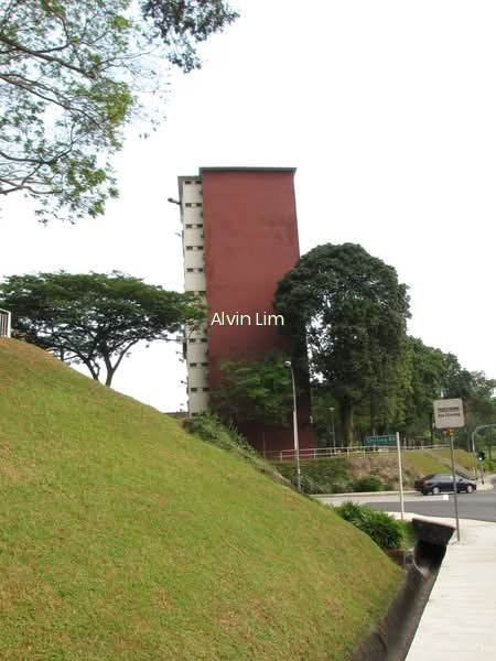 171 STIRLING ROAD photo 6