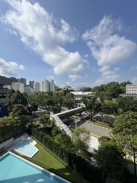 19 NASSIM photo 2