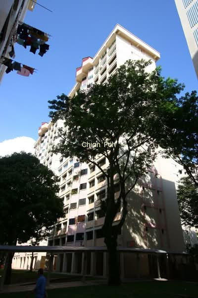 236A SERANGOON AVENUE 2 photo 2