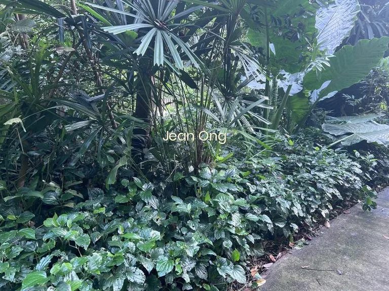 D10 Bin Tong Park Gcb. Freehold. Sprawling Landscape. Jean 93571119 image 1 of 4