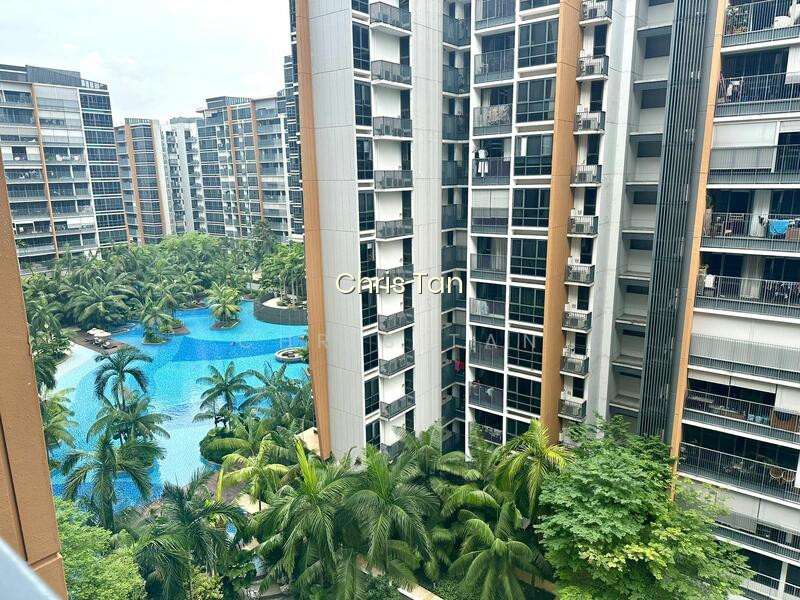 COCO PALMS 2