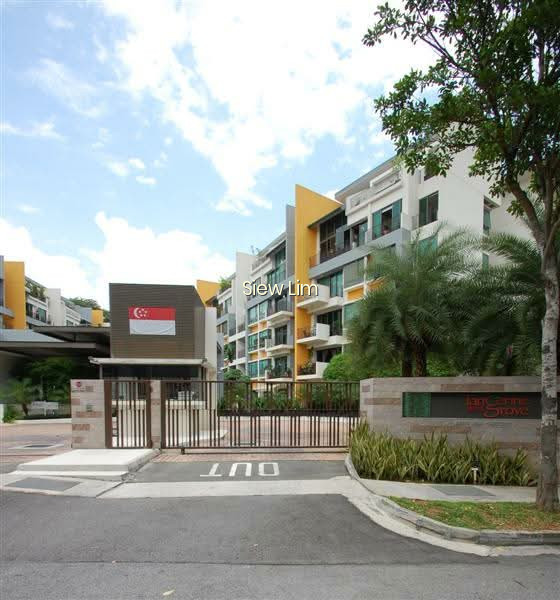 TANGERINE GROVE 9
