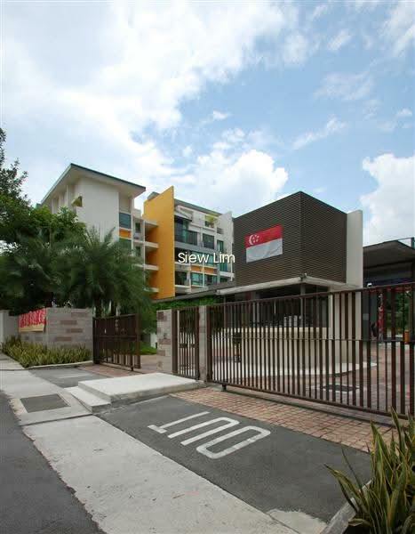 TANGERINE GROVE 10