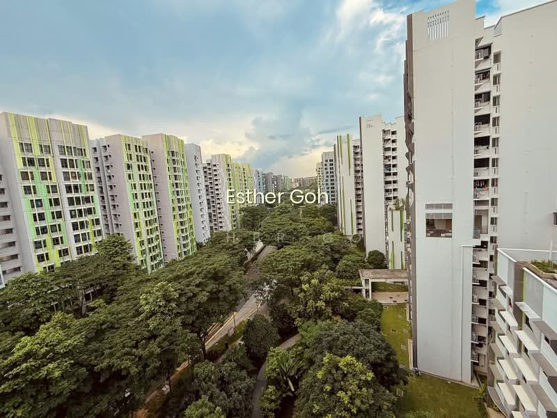 107A BIDADARI PARK DRIVE photo 2