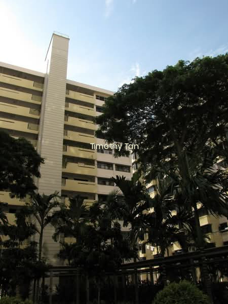 7 MARINE TERRACE photo 5