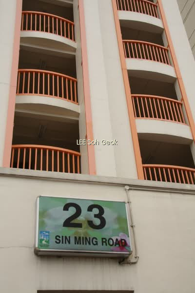 23 SIN MING ROAD photo 5