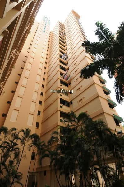 163 JALAN TECK WHYE photo 6