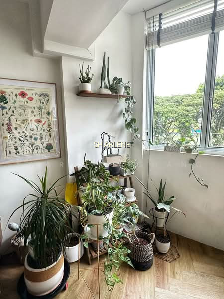 236 LORONG 1 TOA PAYOH photo 4