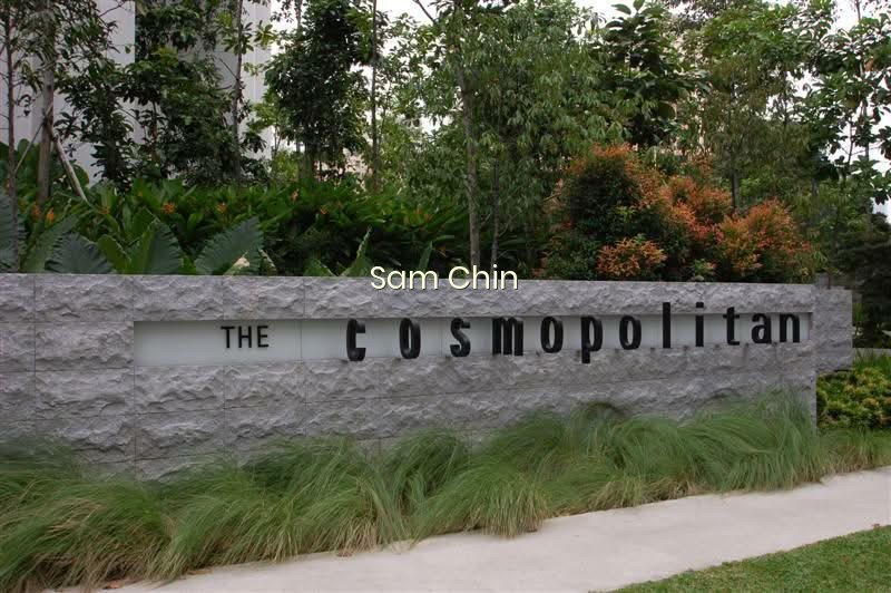 THE COSMOPOLITAN 9
