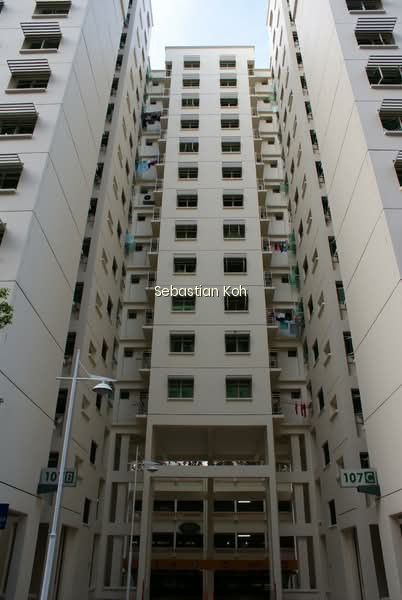 107C EDGEFIELD PLAINS photo 6