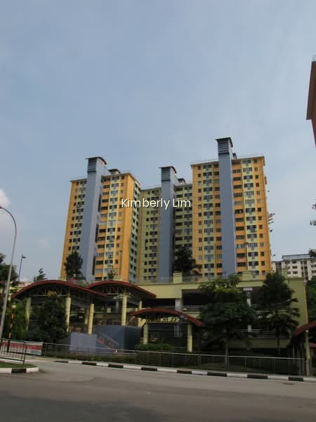 161 MEI LING STREET photo 4