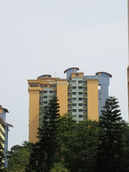 161 MEI LING STREET photo 5