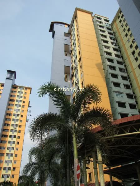 161 MEI LING STREET photo 6