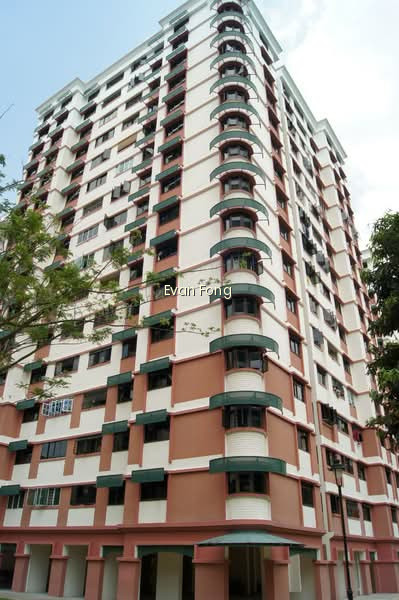 329 SEMBAWANG CLOSE photo 6