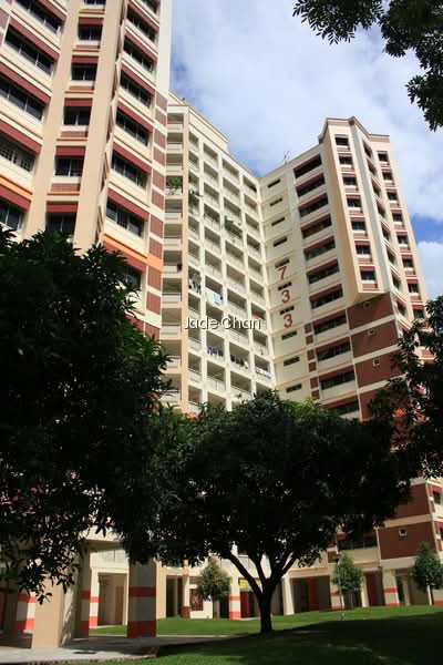 733 JURONG WEST STREET 73 photo 6