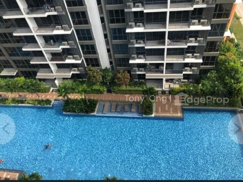 NORTH PARK RESIDENCES photo 4