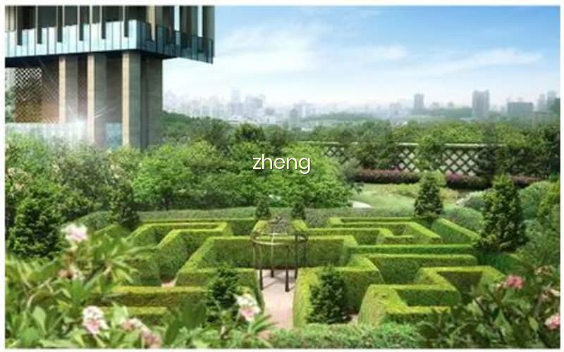 THE RITZ-CARLTON RESIDENCES 10