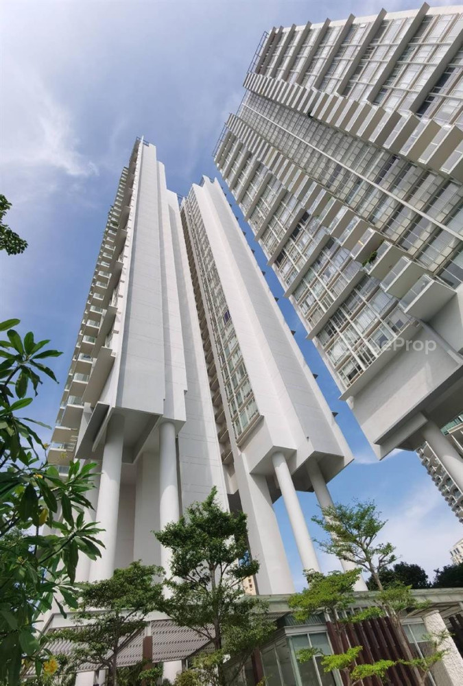 THE COSMOPOLITAN 5